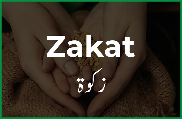 usdt4zakkat